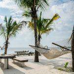 Les joyaux cachés de Zanzibar : un voyage de découverte